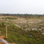 DCIM100MEDIADJI_0574.JPG